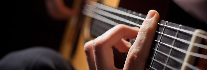 le guitariste